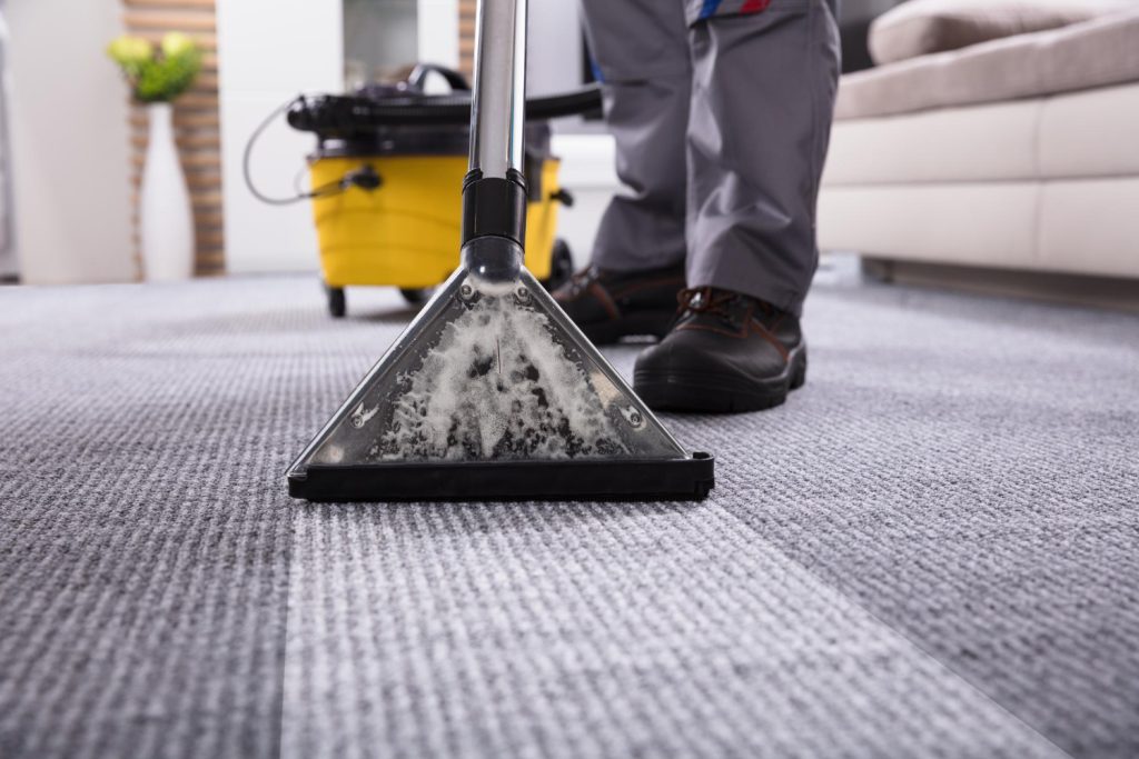 Carpet Cleaners