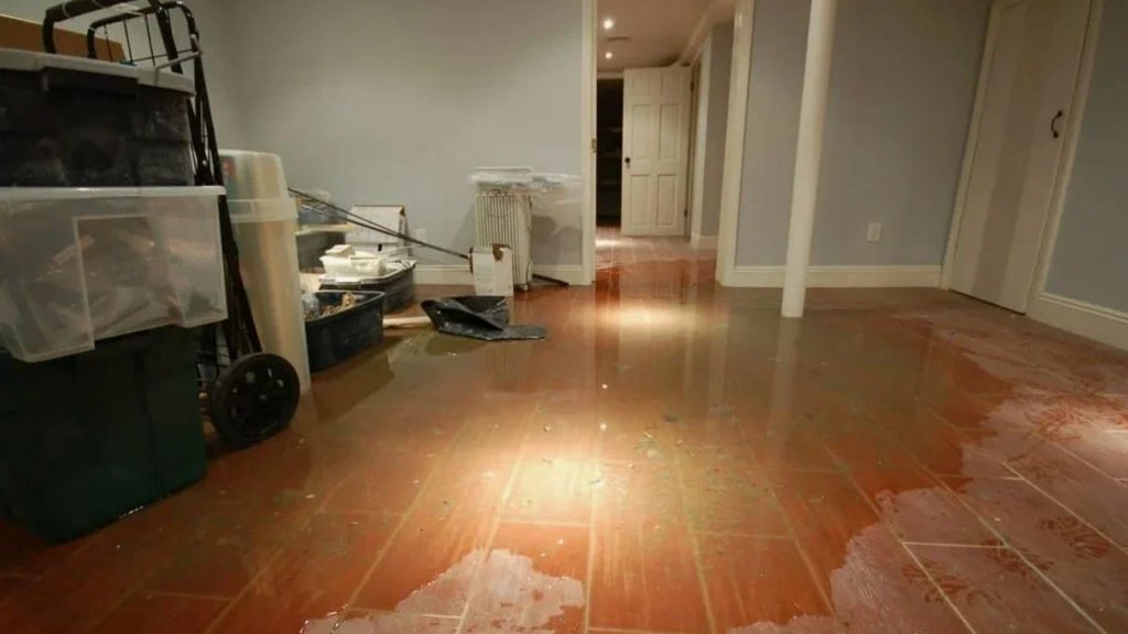 Untitled design (82)