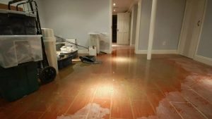 Untitled design (82)